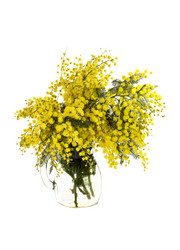 Similar image 7370656