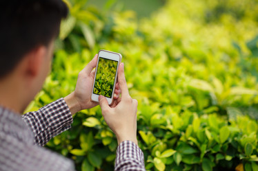 Similar image 7371377