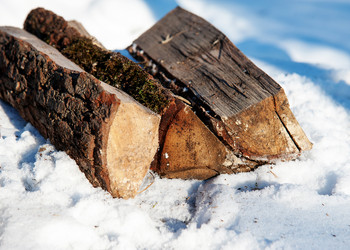 Similar image 7371813