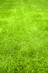 Similar image 7372003