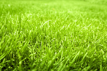 Similar image 7372016