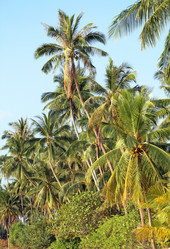 Similar image 7372665