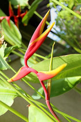 Similar image 7372669