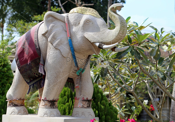 Тайский Слон