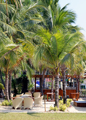 Similar image 7372707