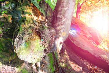 Similar image 7374253