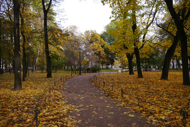 Similar image 7374265