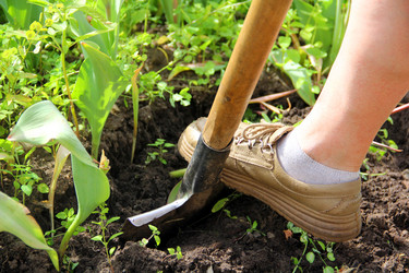 Similar image 7379808