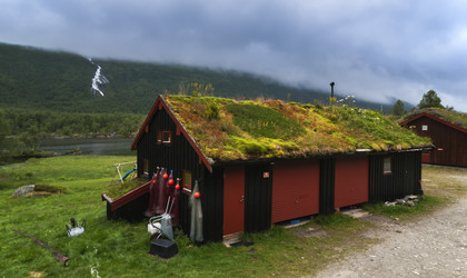 Similar image 7379841