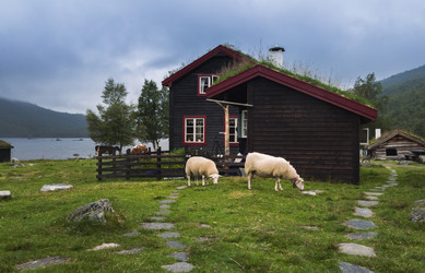 Similar image 7379843