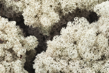 Similar image 7379848