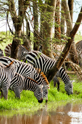 Similar image 7379887