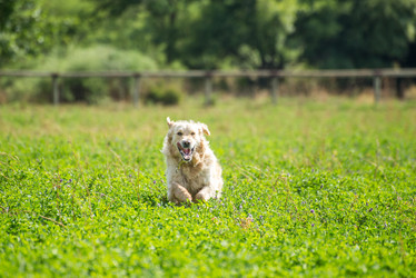 Similar image 7379934