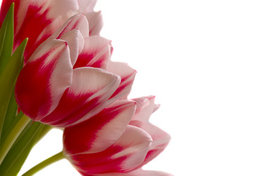 Similar image 7379986