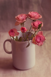 Similar image 7379990