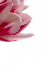 Similar image 7379996