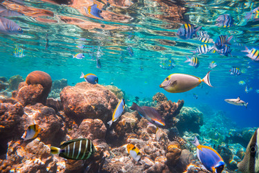 Similar image 7380267