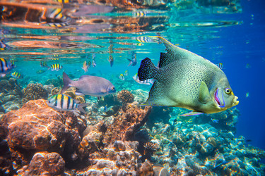 Similar image 7380268