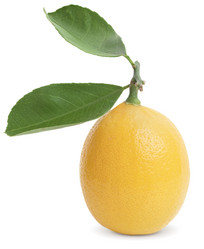 Similar image 7380793