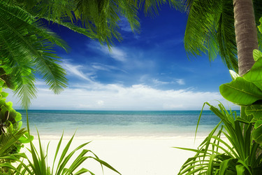 Similar image 7382054