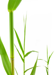 Similar image 7382068