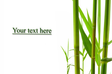 Similar image 7382151