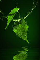 Similar image 7382379