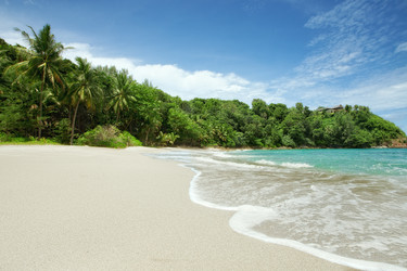 Similar image 7382412