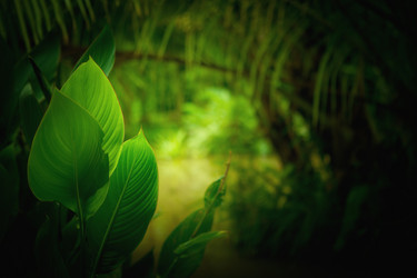 Similar image 7382422