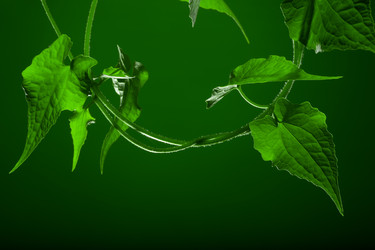 Similar image 7382434