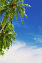 Similar image 7382569