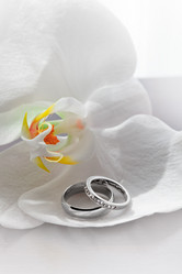 Similar image 7382670