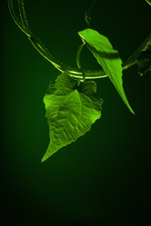 Similar image 7383030