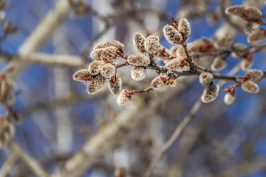 Similar image 7384326