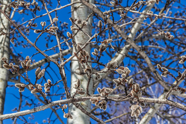 Similar image 7384327