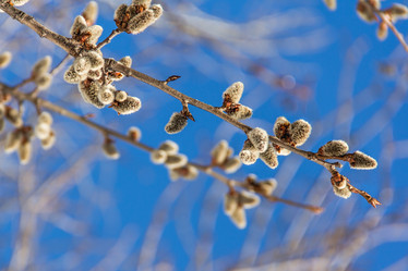 Similar image 7384328