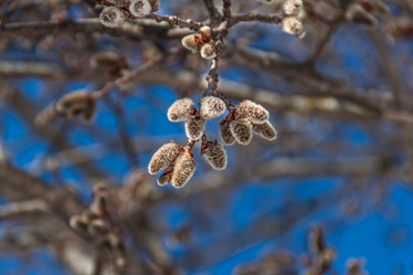 Similar image 7384330