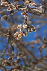 Similar image 7384331