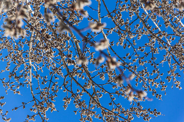 Similar image 7384332