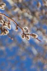 Similar image 7384333