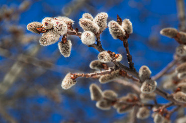 Similar image 7384334