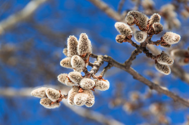 Similar image 7384337