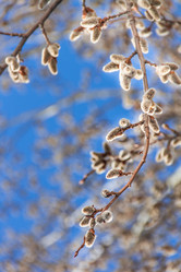 Similar image 7384338