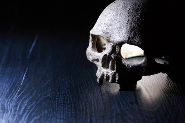 Similar image 7384565