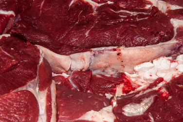 Similar image 7386304