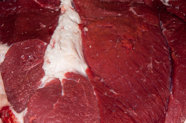 Similar image 7386306