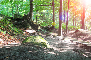 Similar image 7394967