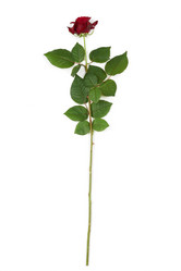 Similar image 7395022