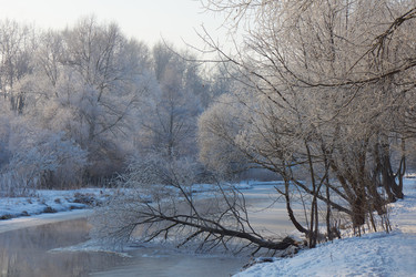 Similar image 7395039