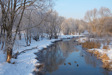 Similar image 7395040